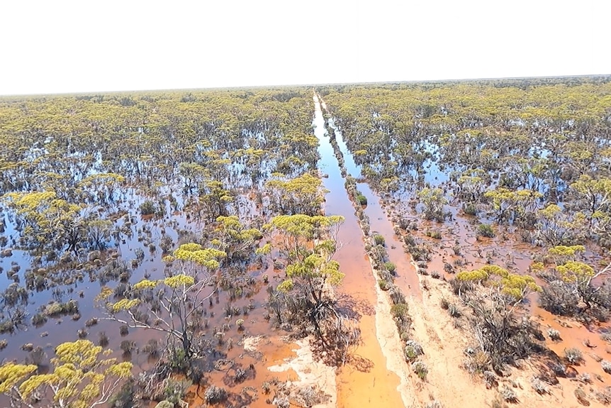An aerial view of a flooded outback road.