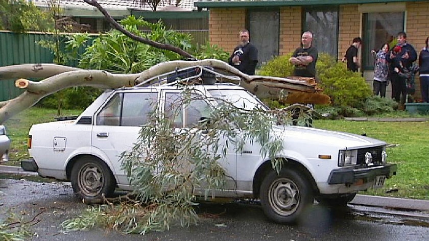 Adelaide storm damage