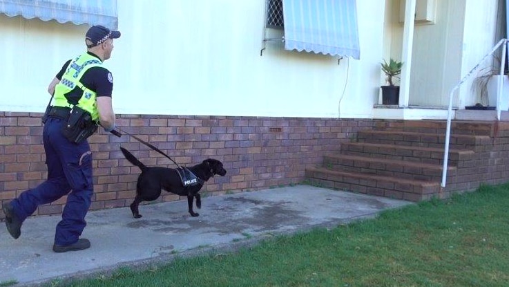 A police officer and police dog take part in a raid on a house in Manjimup.