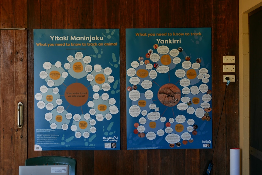 A photo of two posters side by side on a wooden wall, they are blue mindmaps with circles of Indigenous knowledge.
