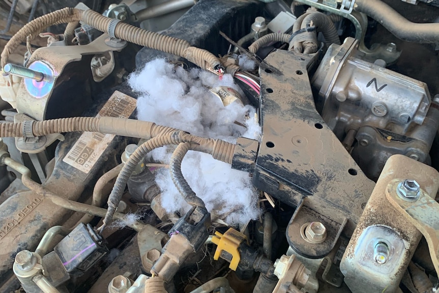 The engine of a ute with damage to wires and pipes caused by mice.