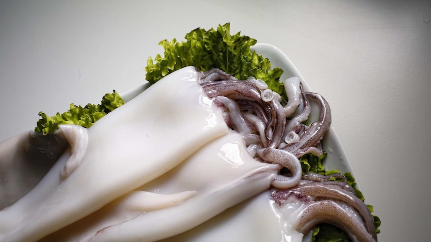 Raw squid tubes lying on a bed of fresh lettuce.