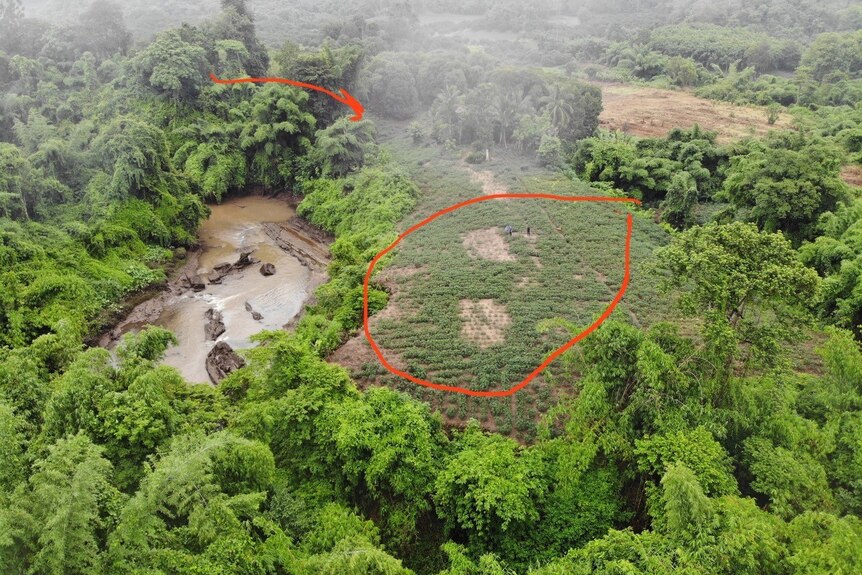 An aerial image of a jungle clearing above a rocky brown river with bare patches inspected by two small figures