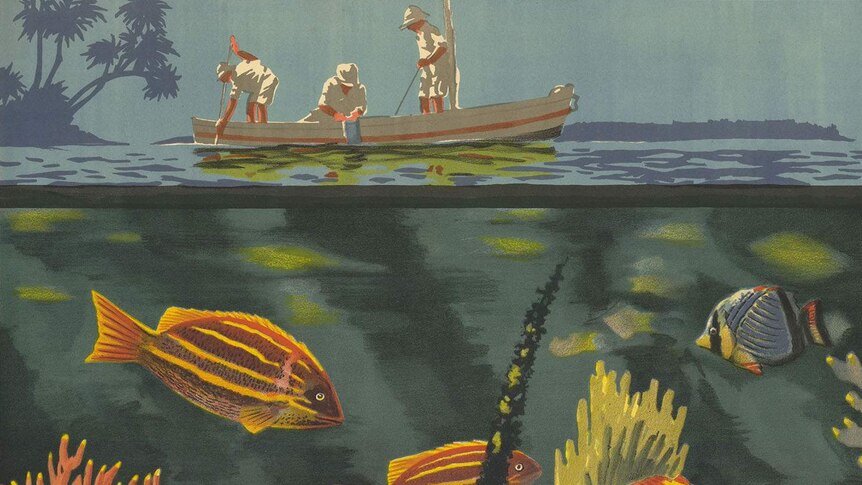 A colourful tourism poster from 1933 advertising the "Marine Wonders of the Great Barrier Coral Reef" showing fish and coral.