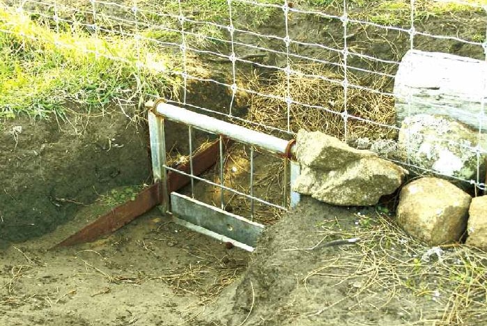 Wombat gate under fence on a property on Tasmania's Forestier Peninsula.