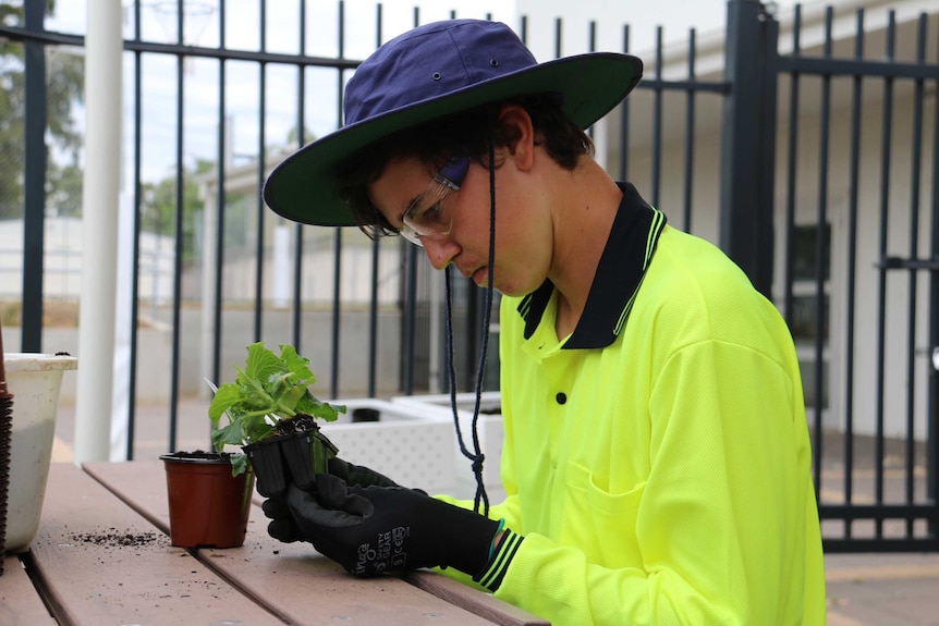 A boy holds a small plant.