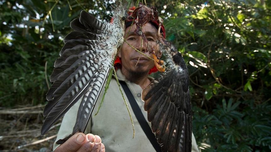 A man holds the tips of the wing feathers of a dead bird to display its carcass to the camera.