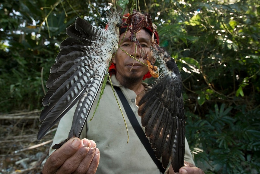 A man holds the tips of the wing feathers of a dead bird to display its carcass to the camera.