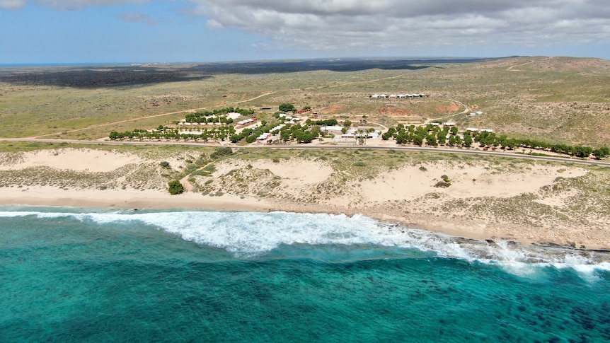 An aerial shot of a coastal caravan park with the ocean in the foreground