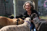 Emma Haswell with rehomed greyhounds at Brightside Farm Sanctuary.