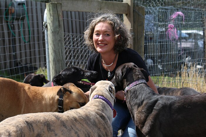 Emma Haswell with rehomed greyhounds at Brightside Farm Sanctuary.
