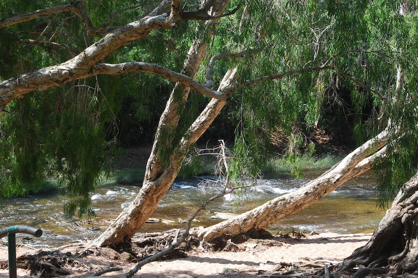 Katherine River