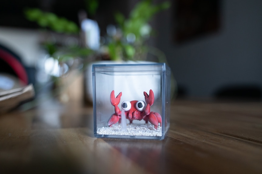 3D printed crab in a little clear box on a table