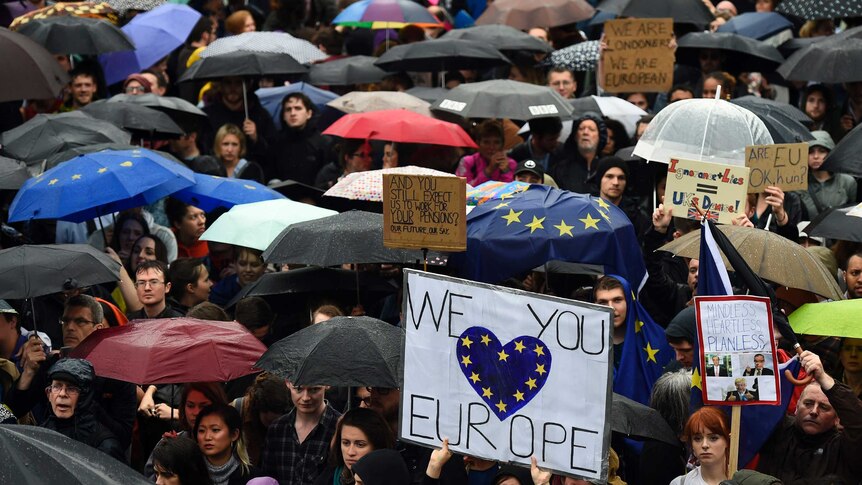Demonstrators under umbrellas hold up signs in support of the EU