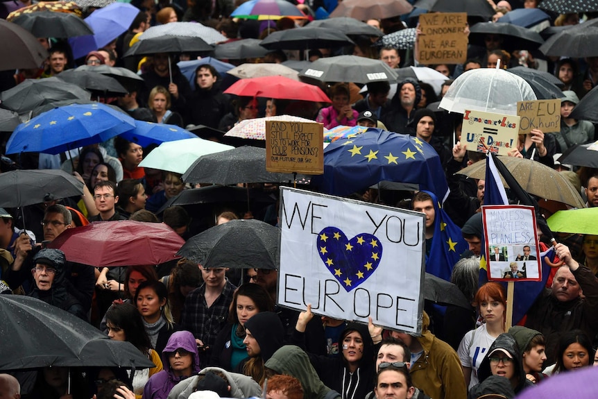 Demonstrators under umbrellas hold up signs in support of the EU