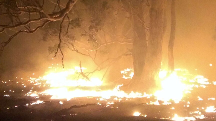 Burning off on Friday night ahead of unpredictable condition in western Victoria on Saturday.