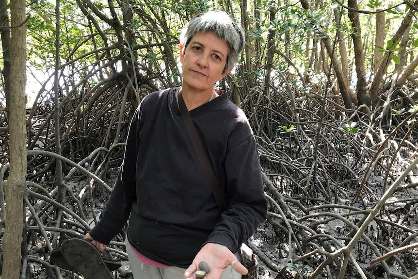 A former Larrakia ranger holds out shellfish in mangroves on Darwin Harbour.