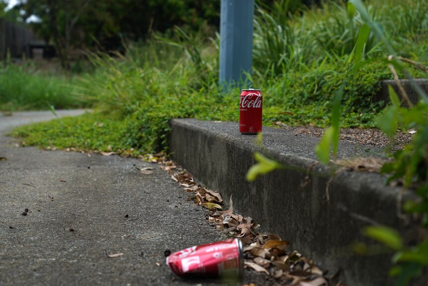 generic photo of a park with some litter around