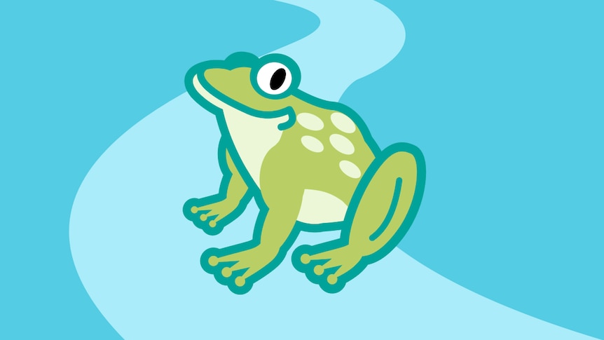 A happy frog on a blue background