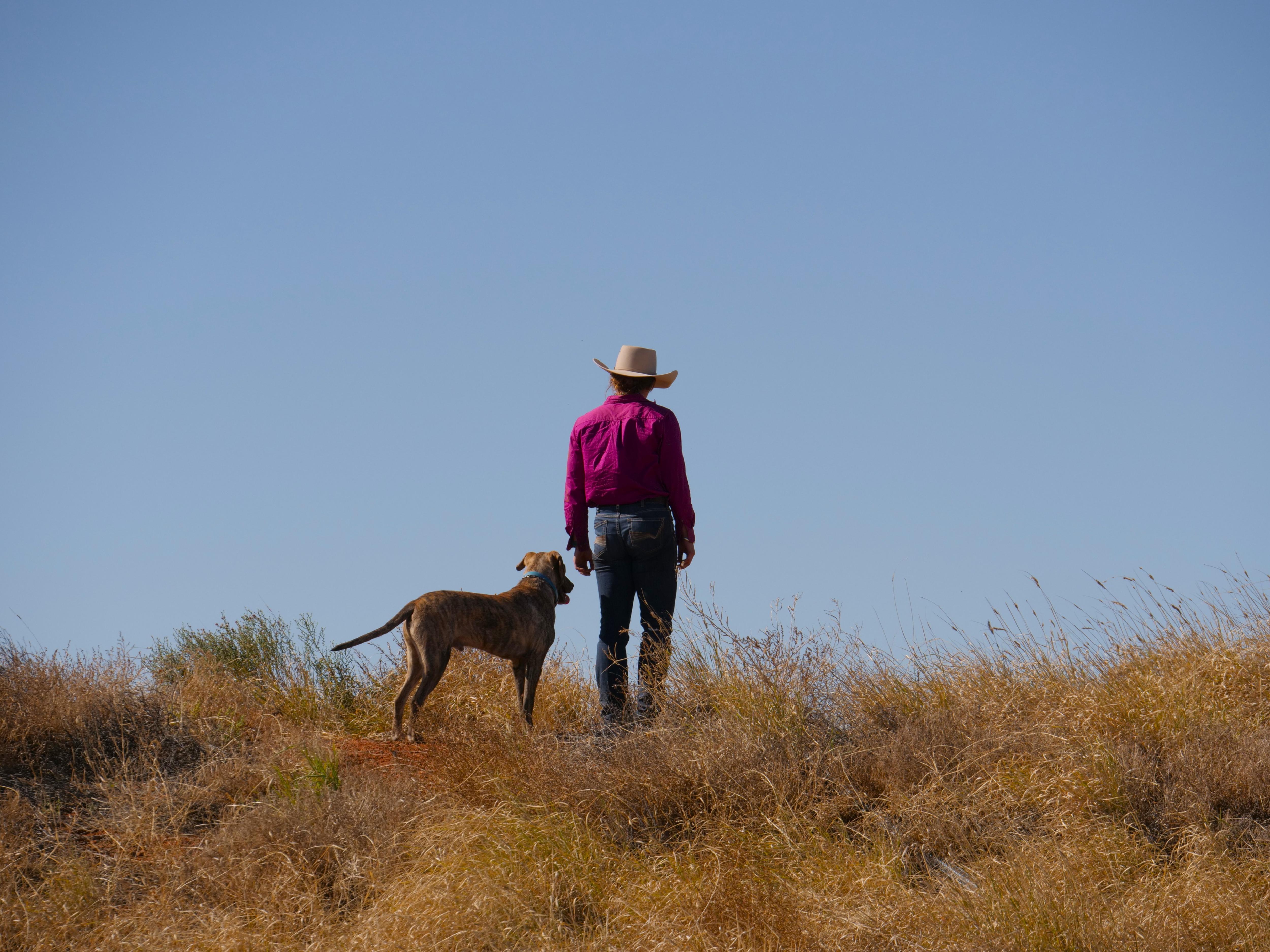 Lake Nash Station rebounds from floods as schoolies line up for outback
