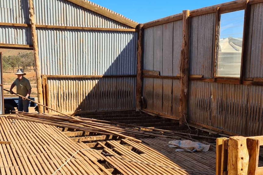 old shearer's shed being salvaged