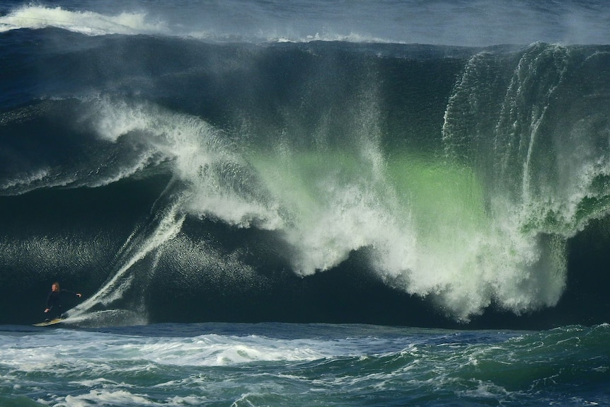 A surfer rides an enormous, heavy wave that towers over him like a building.
