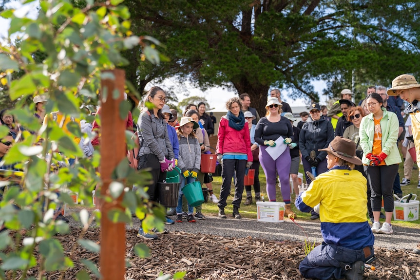 Crowd of residents gathered around a man demonstrating how to plant a tree