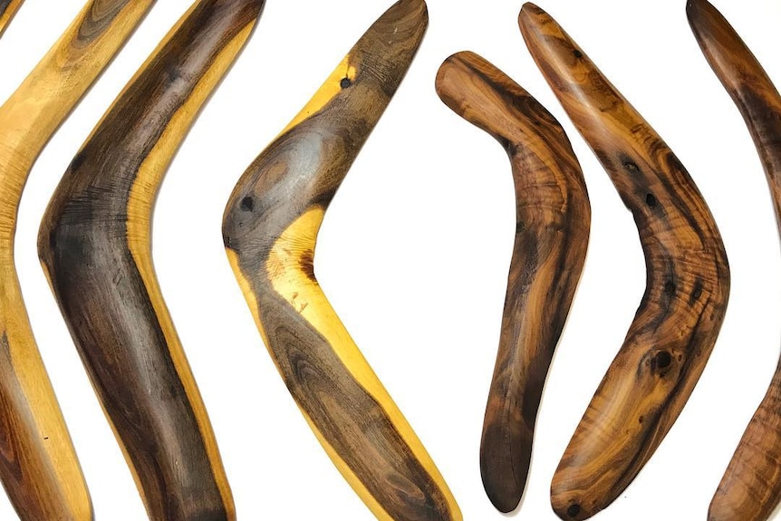 Seven boomerangs lined up next to each other, they are plain and made from wood in a range of brown colours