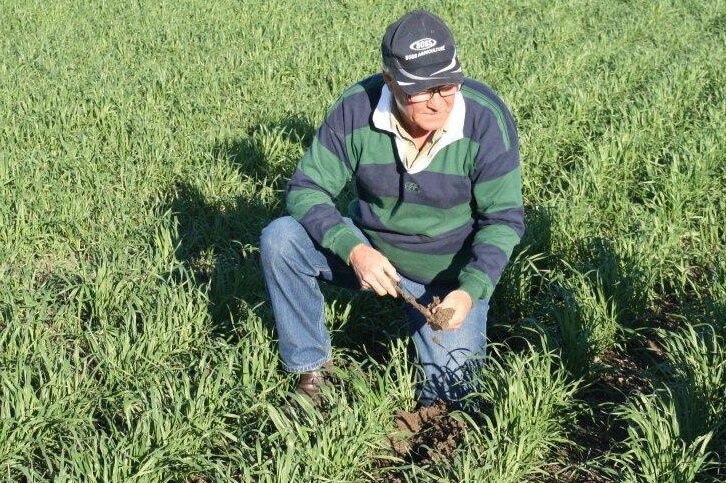 Retiring independent MP Tony Windsor kneels down in a field of crops.