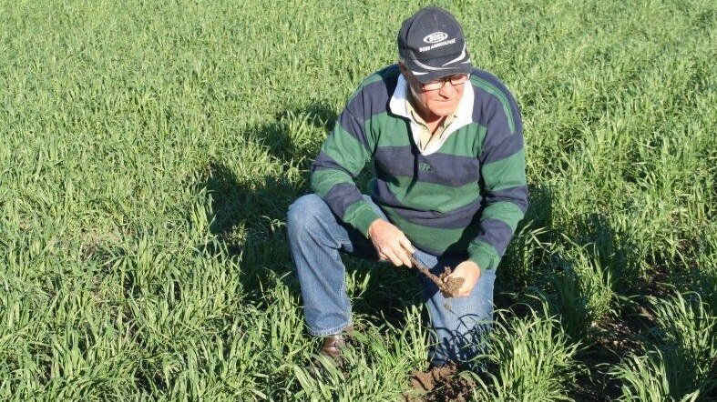 Retiring independent MP Tony Windsor kneels down in a field of crops.