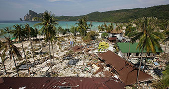 A devastated island community littered with broken trees and buildings.
