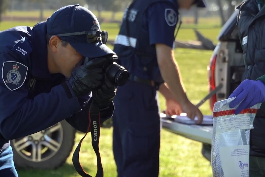 Wildlife officer wearing black gloves takes photos of a plastic bag held up by second wildlife officer.