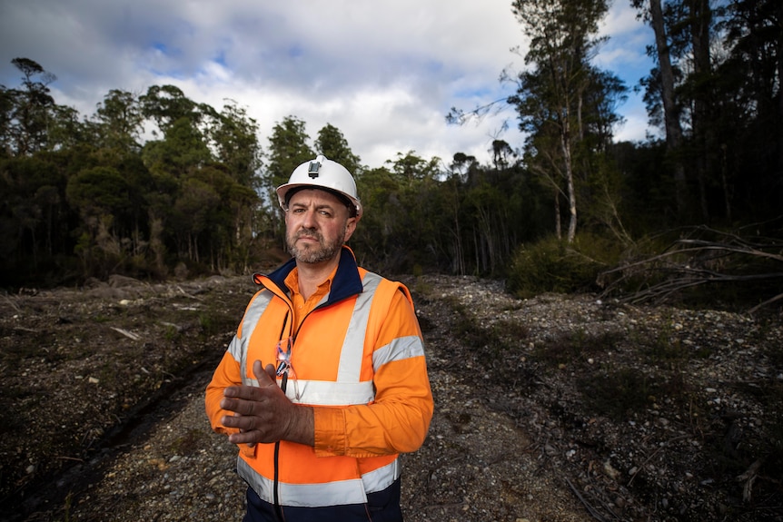 A man in hi-vis gear in a forest.