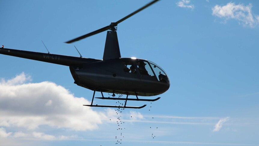 Chocolate Easter eggs are dropped from a helicopter at the polo match