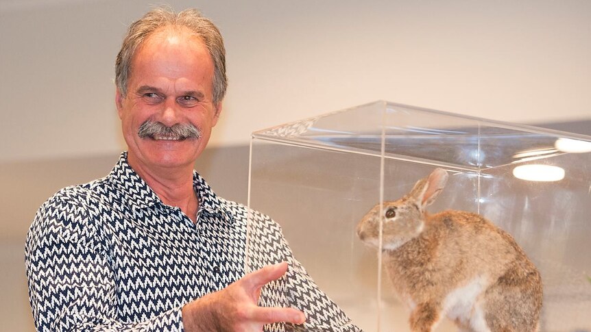 A man holding a glass case with a stuffed rabbit inside.
