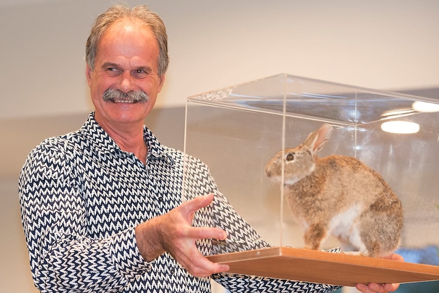 A man holding a glass case with a stuffed rabbit inside.