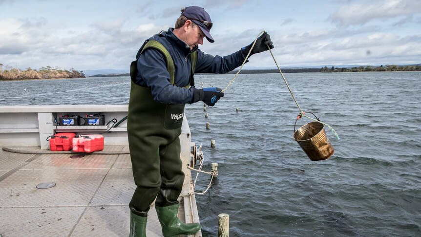Ian Melrose with an oyster bucket in water.