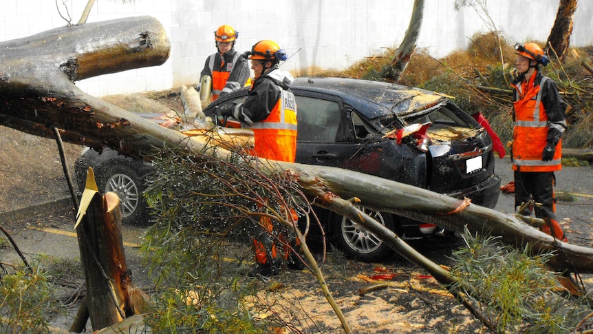 SES volunteers remove a tree from a damaged car.