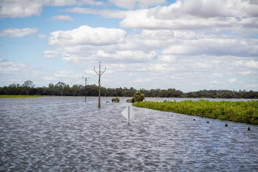Stobie poles partially submerged in South Australia amid flooding.