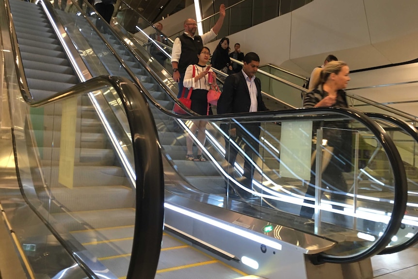 People on an escalator in the Wynyard tunnel