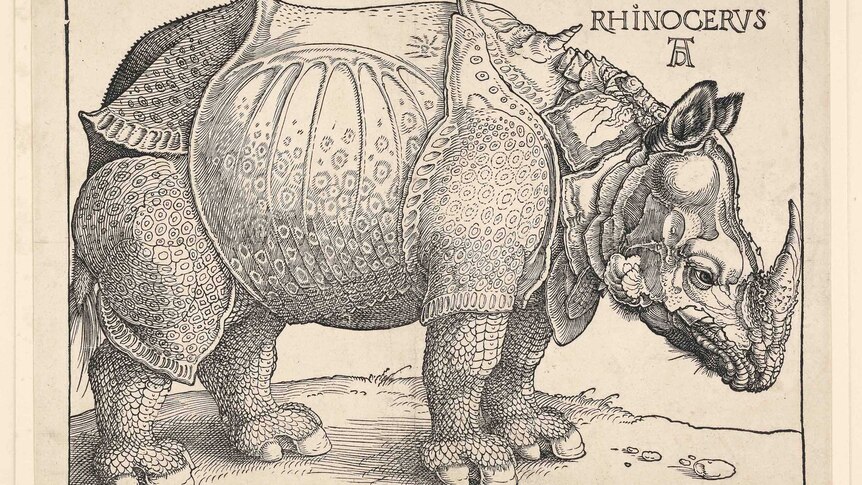 Durer’s Rhinoceros