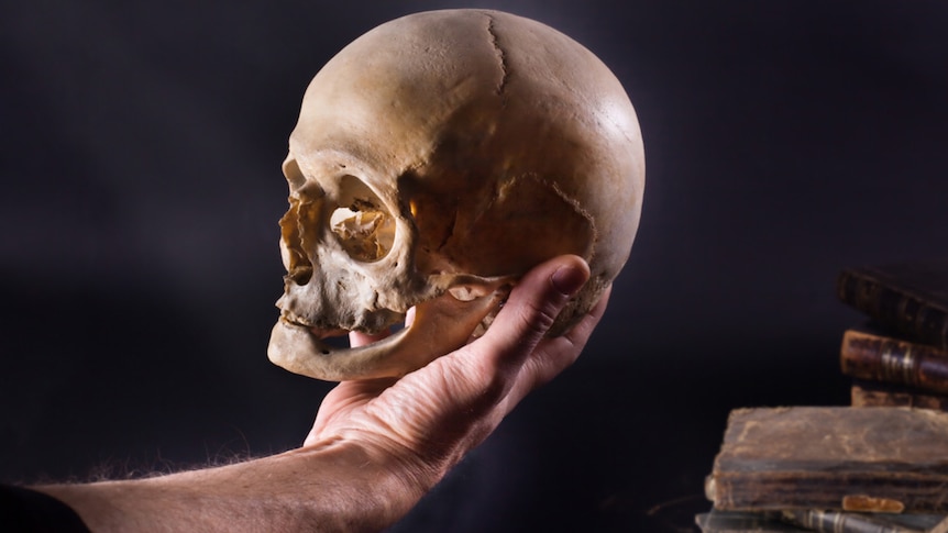 PROXY Shakespear Hamlet Skull getty
