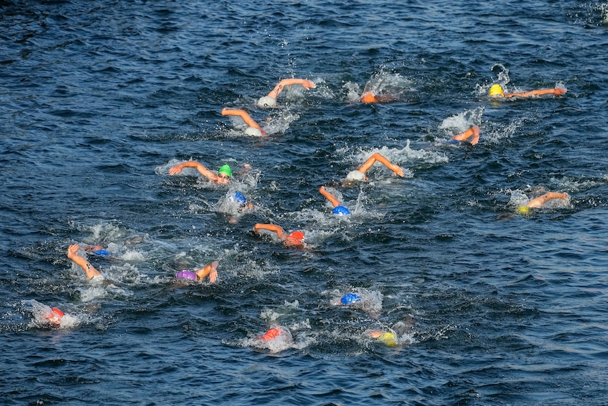 A group of women swim in deep blue water.
