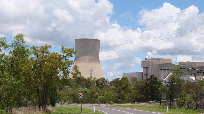 A power station with a lack wide concrete stack, in a green bush setting.