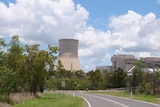 A power station with a lack wide concrete stack, in a green bush setting.