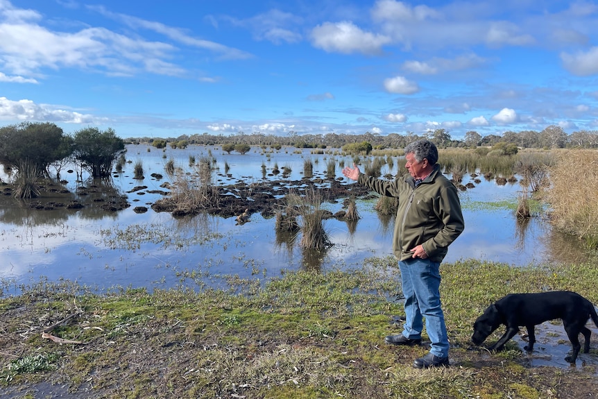 Middle-aged man pointing into a wetland with his black dog.