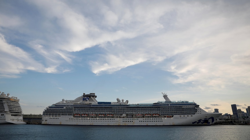 A cruise ship docked at a port. 