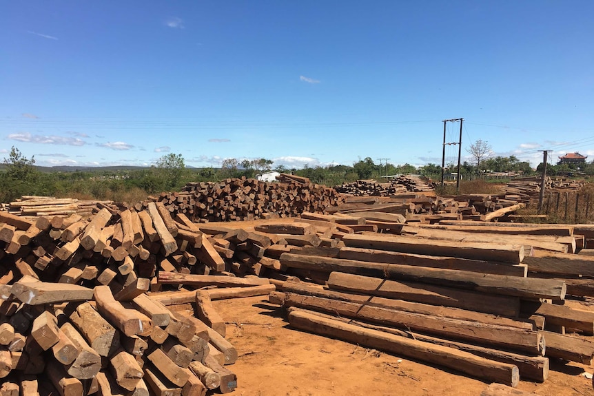 Logging depot in Vietnam