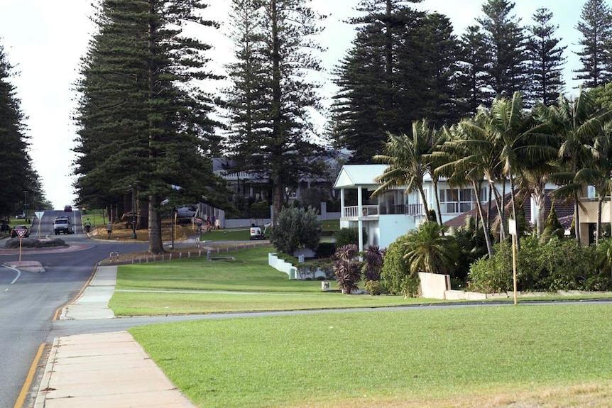 A wide shot of Broome Street in Cottesloe, showing large block sizes, green lawns, and Norfolk pines