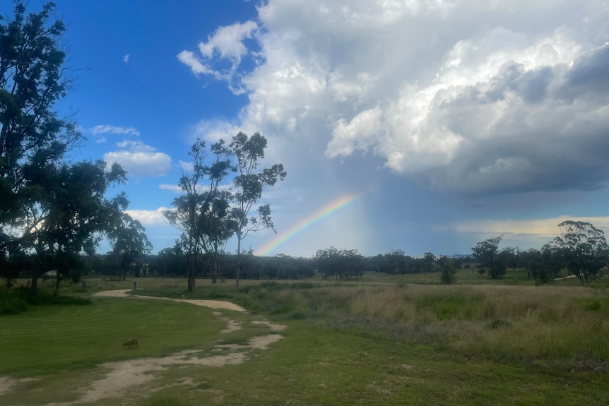 Photo of a rainbow on a farm.